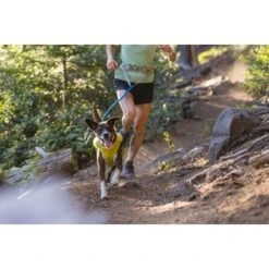 Ruffwear Trail Runner™ Leine 21 Ruffwear Trail Runner™ Leine -Hochwertiger Tierbedarfsladen fd7d3d8f2faefaea1b25b1fb658e0a571fc3fec8 1651448 de DE 059aee675e2089a3f3904e6bcb227b6b71f8e4a2YMTgrx