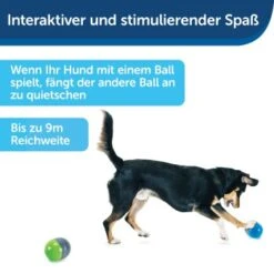 PetSafe Elektronisches Hundespielzeug Ricochet -Hochwertiger Tierbedarfsladen fde7c0cc07cd70611ca47b65ddae3e632f160d94 1418724 de DE 4f6e4953c50827cae26a42d6d5890e56447a49a4XQHEwC