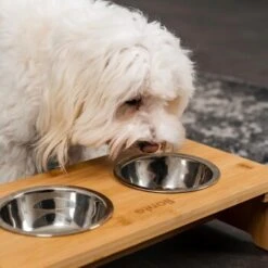 Lionto Erhöhte Futterstation Aus Bambus Braun/ Silber S -Hochwertiger Tierbedarfsladen ff2eba128a0d6b75a70cc824dc213b8dd85d734a 1665921 de DE e23b5a688ebe67bbe1f23e079b16083d61ef18cdlFh9kV