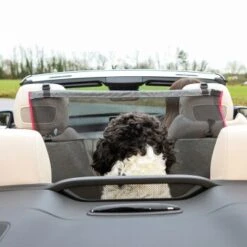 KONG Vordersitzbarriere -Hochwertiger Tierbedarfsladen ff5dbde9995c56c34bbe7bc5016592f3adbb7bc3 2f73ce2132082534f311b2977a78cc14a0a72f3e